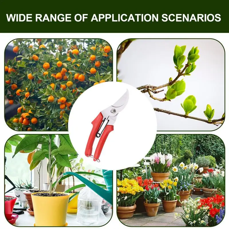 Pruner Garden Scissors Stainless Steel Pruning Shears For Tree Trimming Tree Trimmers Secateurs For Fruit Tree Plant Flowers