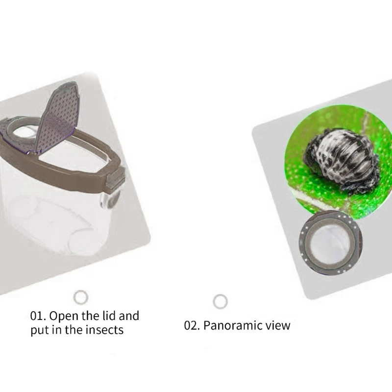 educativo para insectos libre, incluida herramienta alimentación, jaula observación, abrazadera exploración