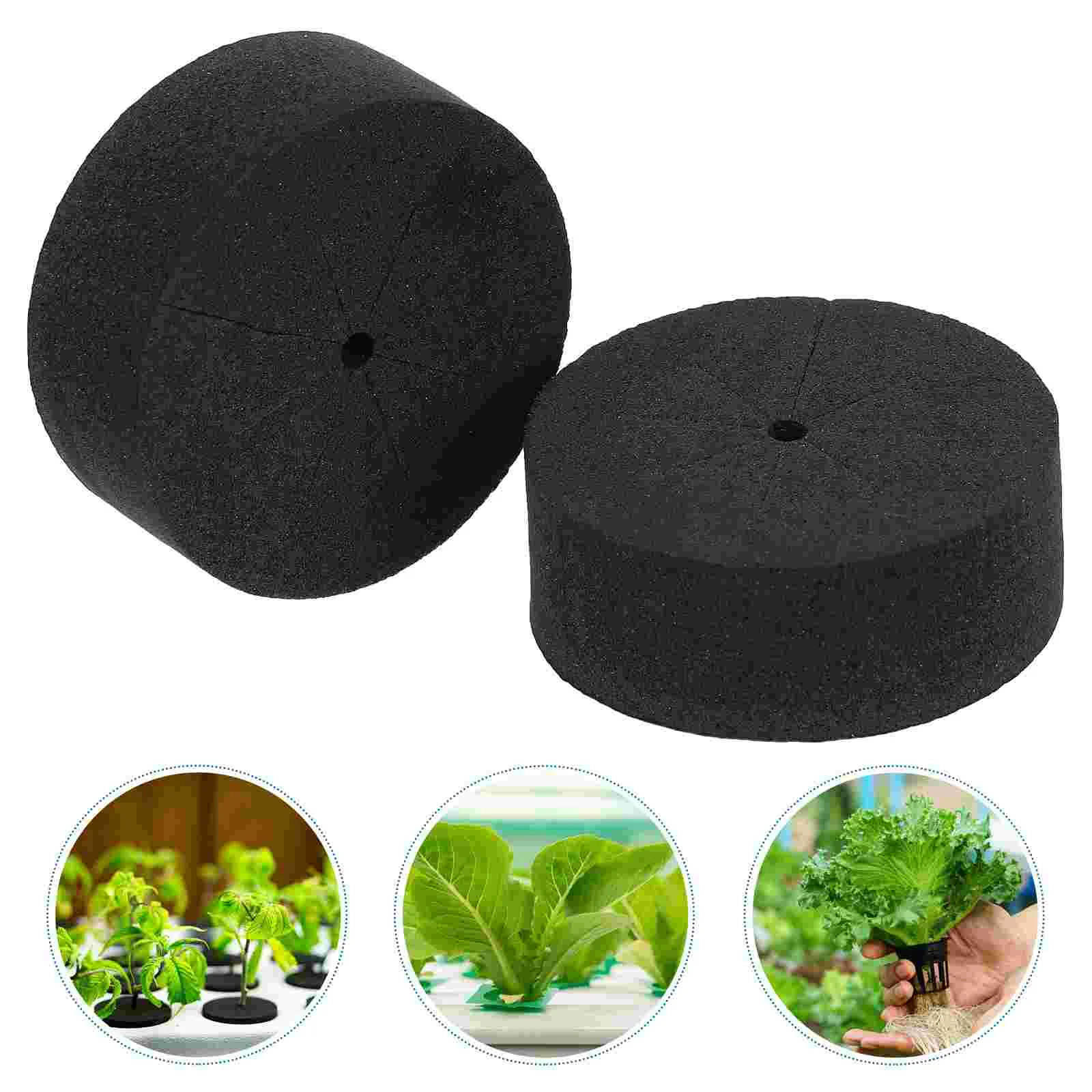 

30 Pcs Water Cultivation Foam EVA Planting Blocks for Rapid Breeding Soilless Cultivation Nutrient Seedling Starter Garden Home