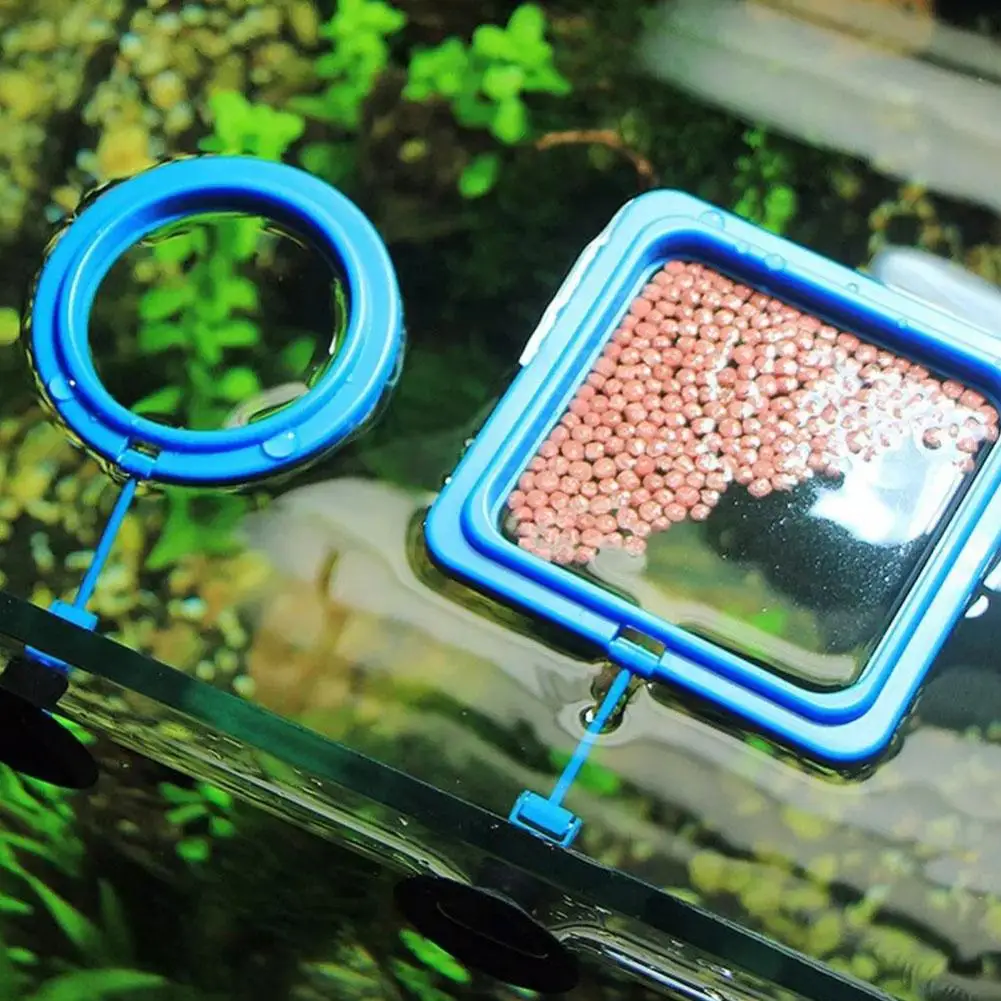 Aquarium Fish Feeding Ring Fish Tank Blue Floating Station Food Tray Feeder Prevent Food Dispersion Aquarium Feeding Ring