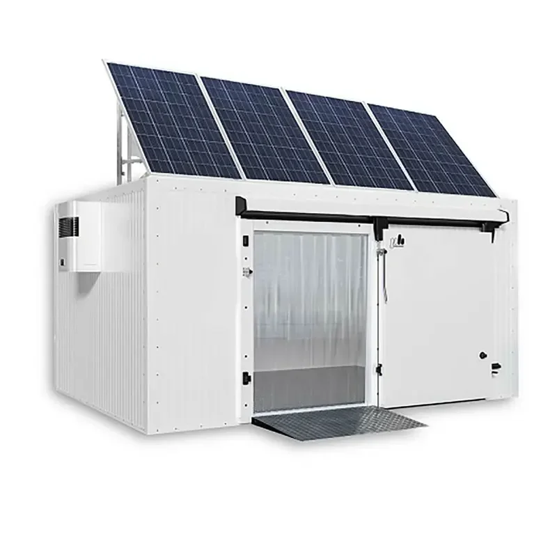 

-solar Powered Cold Room For Fish And Meat Commercial Blast Freezer Container Provided Mini Cold Storage Cool Room 50 Tons