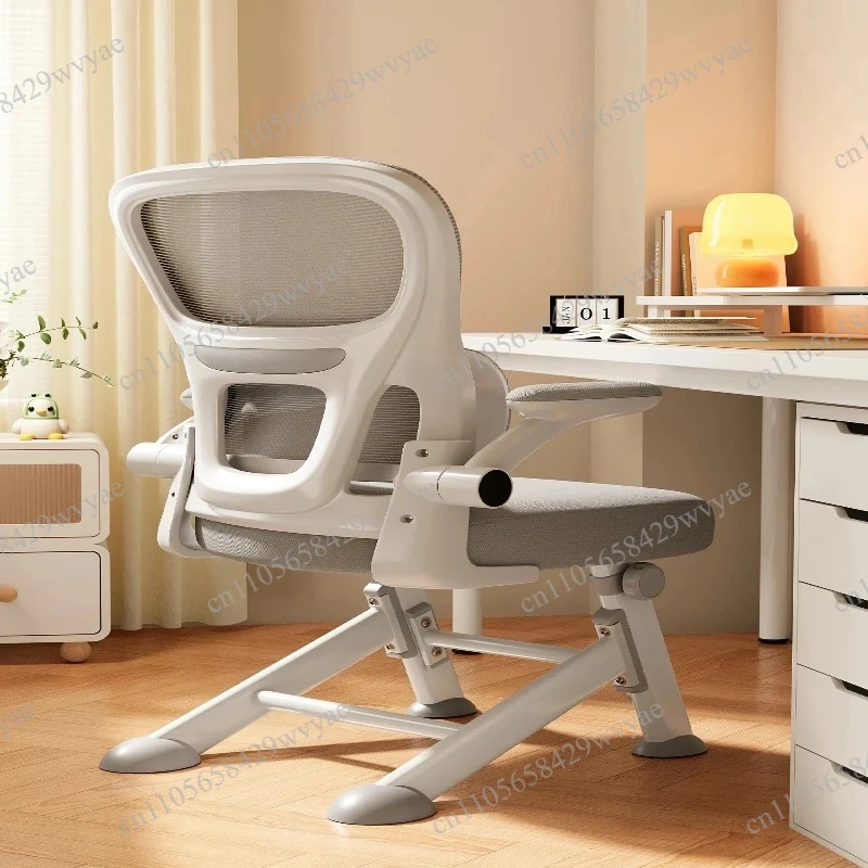Ergonomic Study Chair Adjustable Student Desk Chair Lumbar Support Computer Chair for Teens Home Office