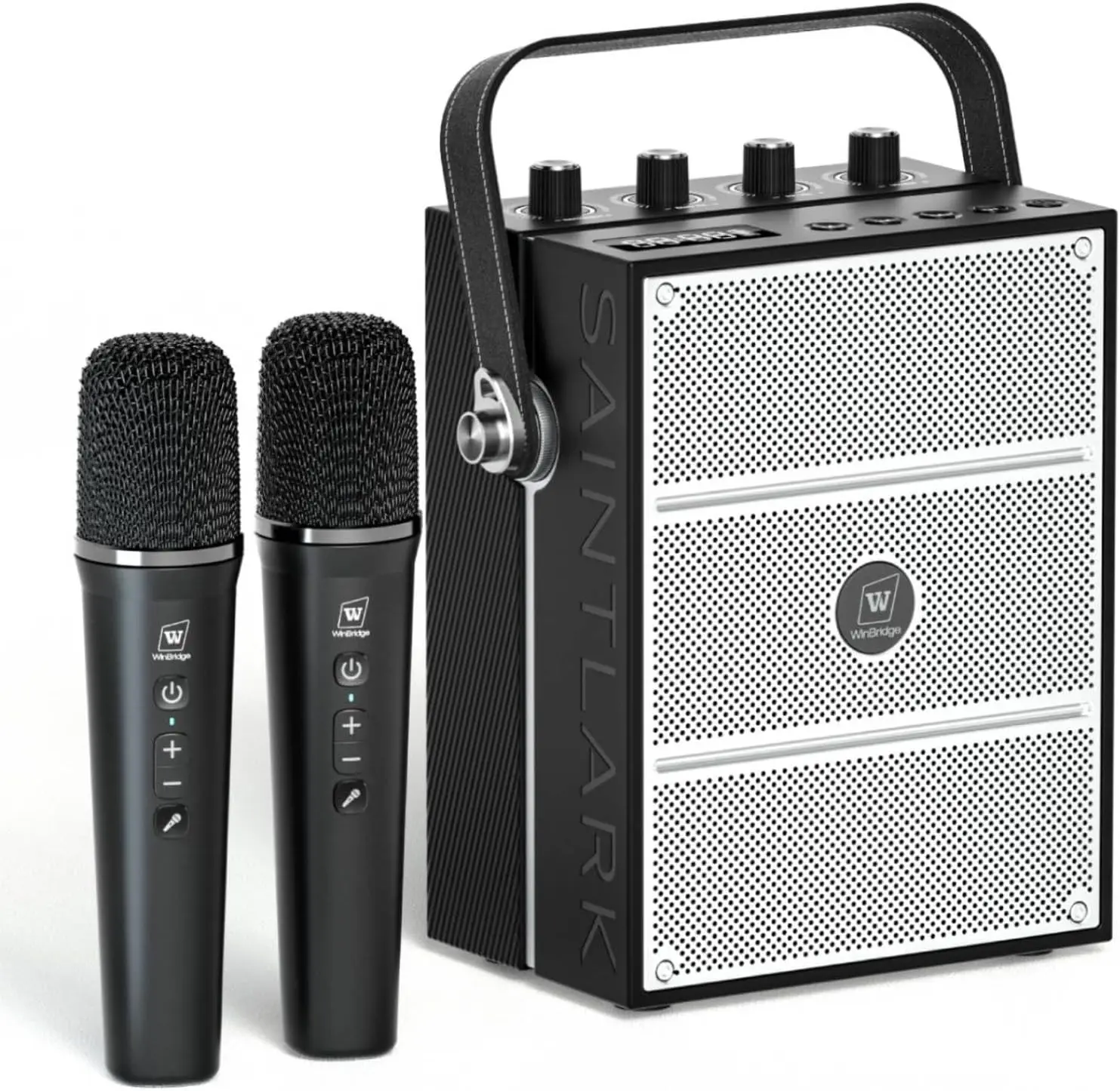Sistema de PA Portátil de 100W con 2 Micrófonos Inalámbricos, Altavoz Bluetooth para Karaoke, Entrada USB/TF/Aux/Guitarra