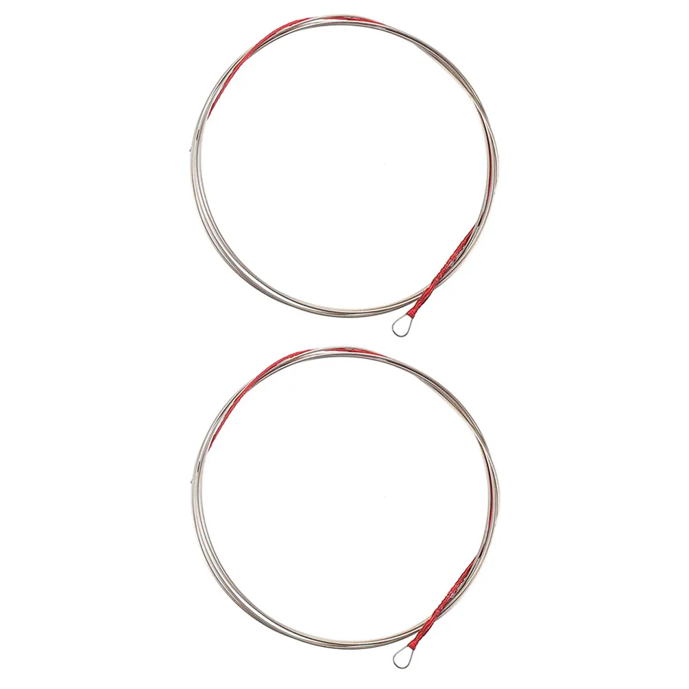 

2 Pcs Pipa Strings Professional Lute Parts Musical Instrument Chinese Metal Affordable