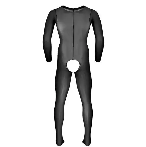 Mens Jumpsuit See Through Bodysuit Sheer Long Sleeves Underwear Summer Gay Nightwear Fetish Crotchless Lingerie Body Stockings