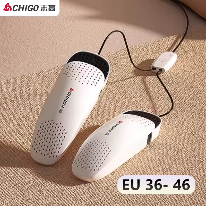 4. CHIGO 전기..