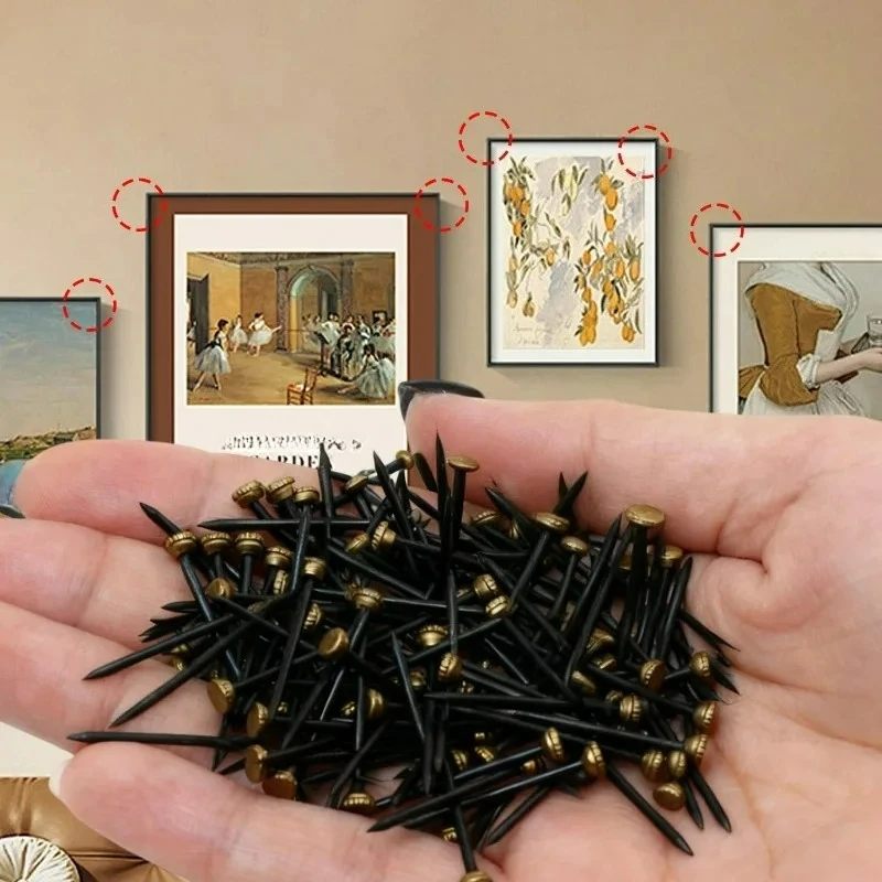 200/20x Black Steel Brass Cap Nail for Hanging Picture Photo Oil Painting Frame with Storage Box DIY Home Decoration Hook Nails