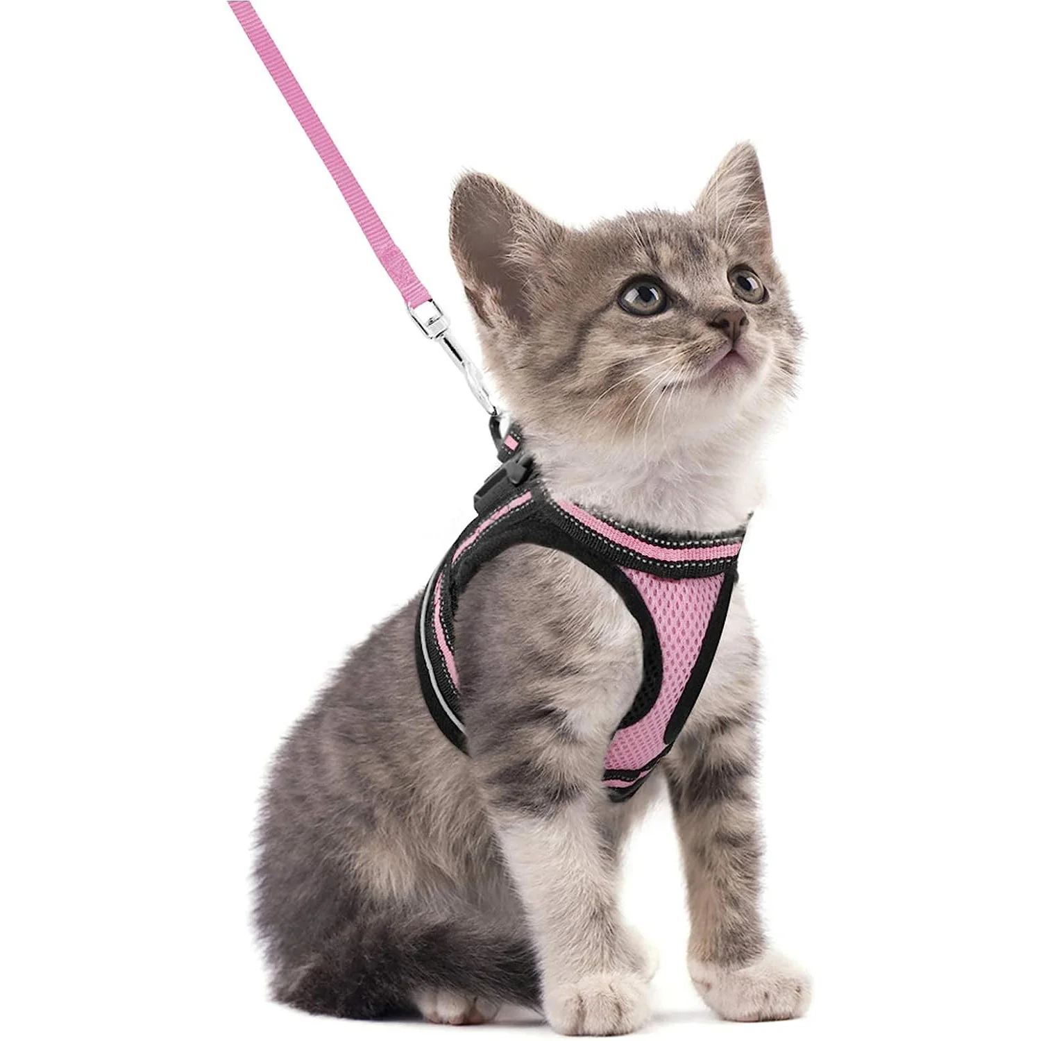 Kattenharnas en riemset voor wandelen, ontsnappingsbestendig, verstelbaar zacht kittensvest met reflecterende strip voor katten, comfortabel uit