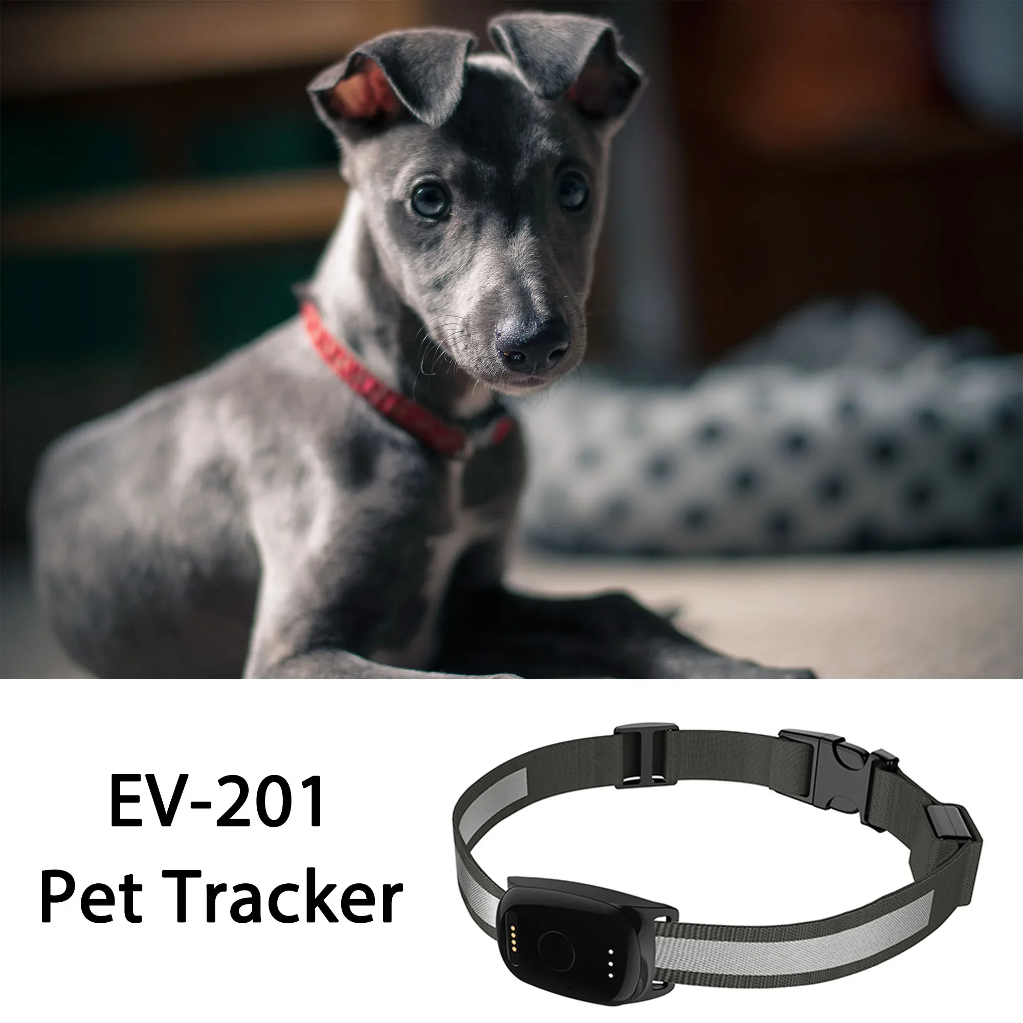 Waterproof Pet GPS Tracker Chip for Mini Dog and Cat Global Real Time GPS Locator