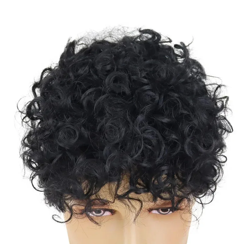

Short Synthetic Wigs for Man Black Curly Natural Hairstyle Male Cosplay Halloween Family Costume Party Daily Use Wig