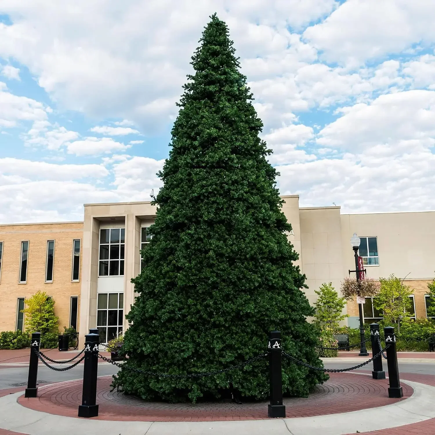 Christmas Tree, 16' X 123