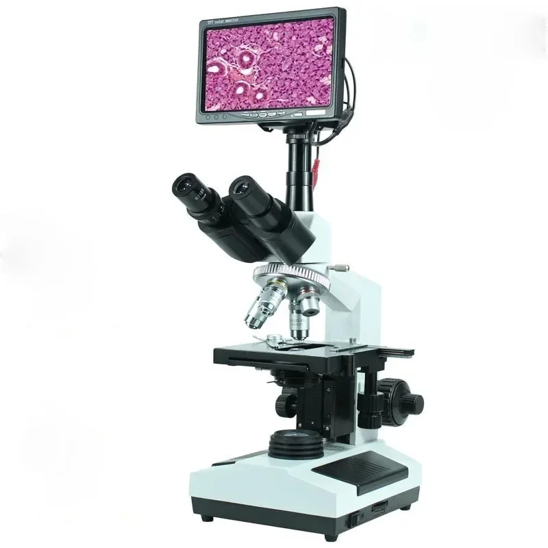 

2000X USB Professional Algae Agriculture Hospital Fungus Optical Biological HD Microscopios Digital Microscope Binocular Tools