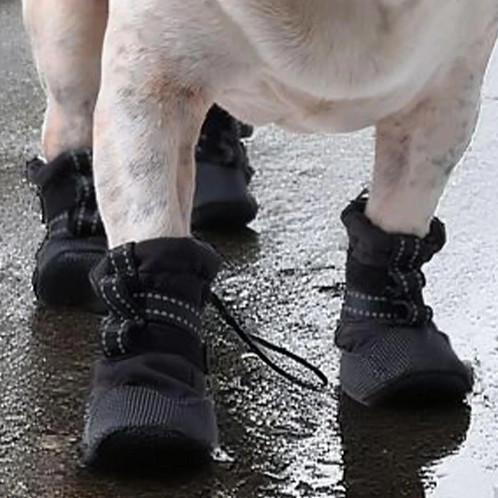 أحذية الكلب للرصيف الساخن 4 قطع المضادة للانزلاق مستلزمات الحيوانات الأليفة لعق واقية حماية عدم الانزلاق حذاء الحيوانات الأليفة للمشي في الهواء الطلق