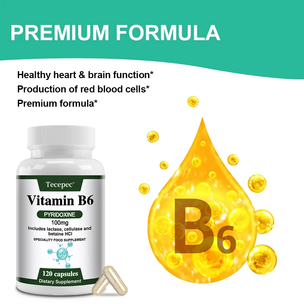 Vitamin B6, 100 Mg, with Lactase, Cellulase, and Betaine for Mental and Physical Energy, Brain Health, Heart Health, Vegetarian