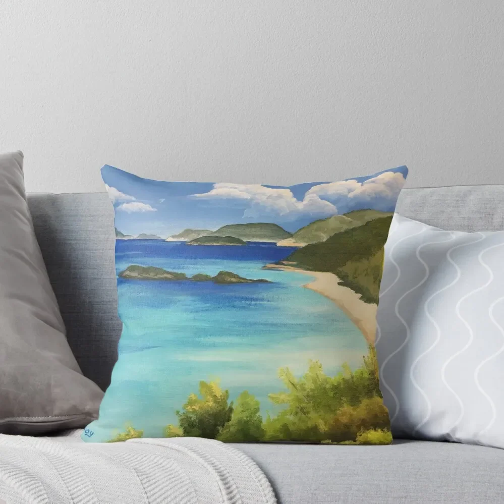 

St. John US Virgin Islands Throw Pillow Pillow Cover Cushion Cover Christmas Pillow Covers