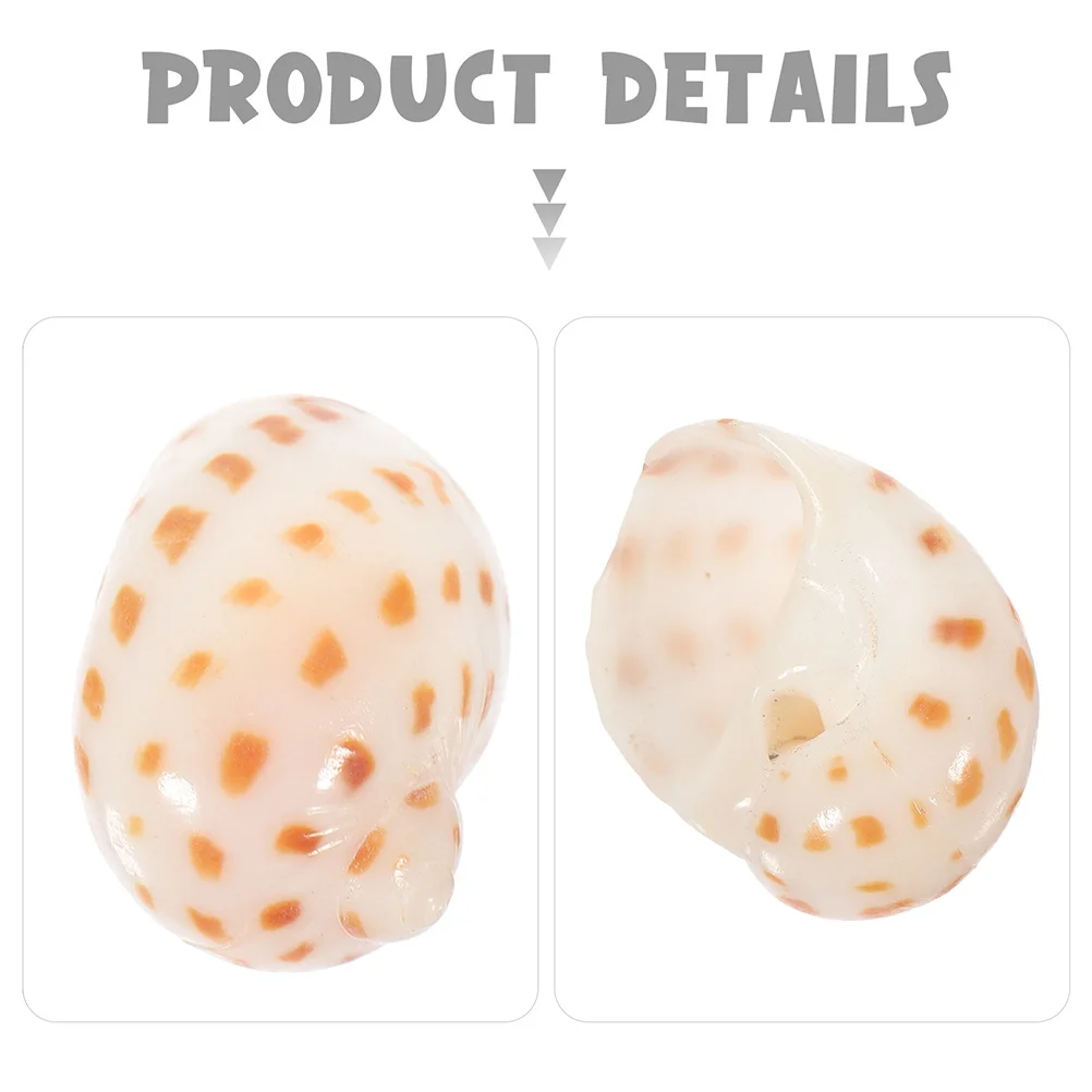 

30Pcs DIY Conch Shells Natural Hermit Crab Replacement Aquarium Fish Tank Landscape Craft Decoration Aquarium Conch Decoration