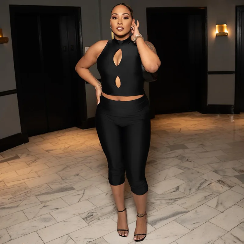 

Solid 2 Piece Set Women Half High Collar Sleeveless Hollow Out Crop Tops + Lapel High Waist Skinny Calf Length Pants Suits