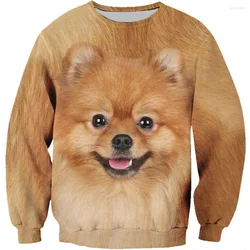 Felpa con cappuccio Pomeranian Shetland Sheepdog stampata in 3D uomo animali domestici felpa a maniche lunghe con grafica per cani pullover girocollo primavera autunno