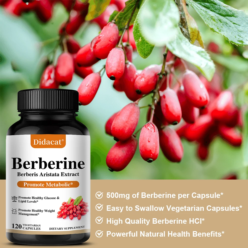 Berberine 500 Mg Dietary Supplement - Metabolism, Healthy Weight Management, Circulatory Health, Blood Lipids, Blood Sugar