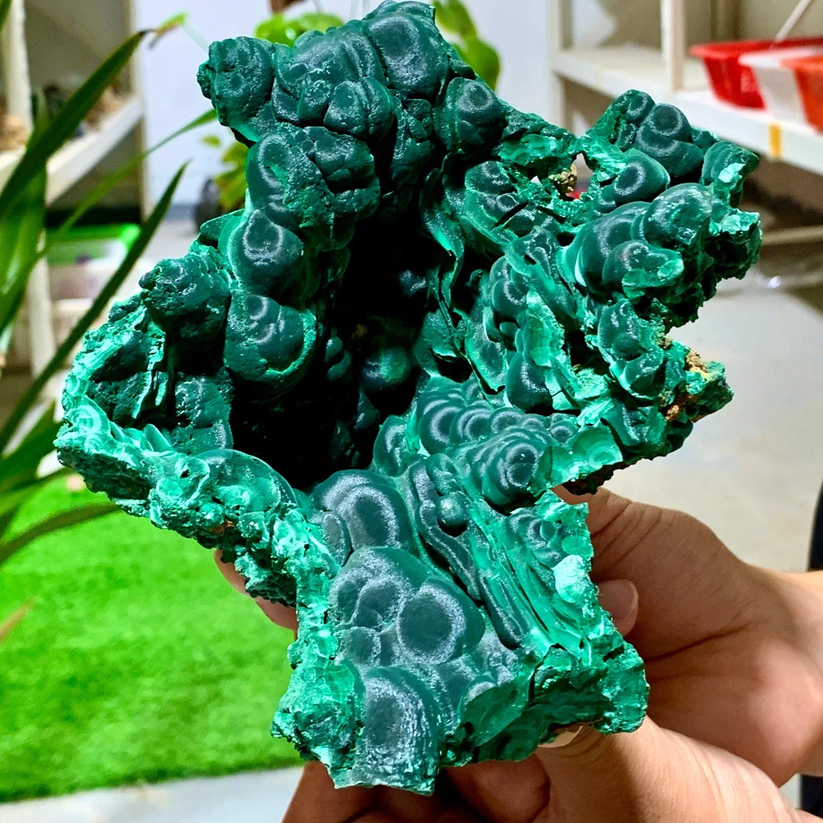 الملكيت المخملي الطبيعي، مجموعات كريستال من الحجر الخام الكريستالي، أحجار كريمة للطاقة مع خصائص الشفاء الروحي، العرافة #6