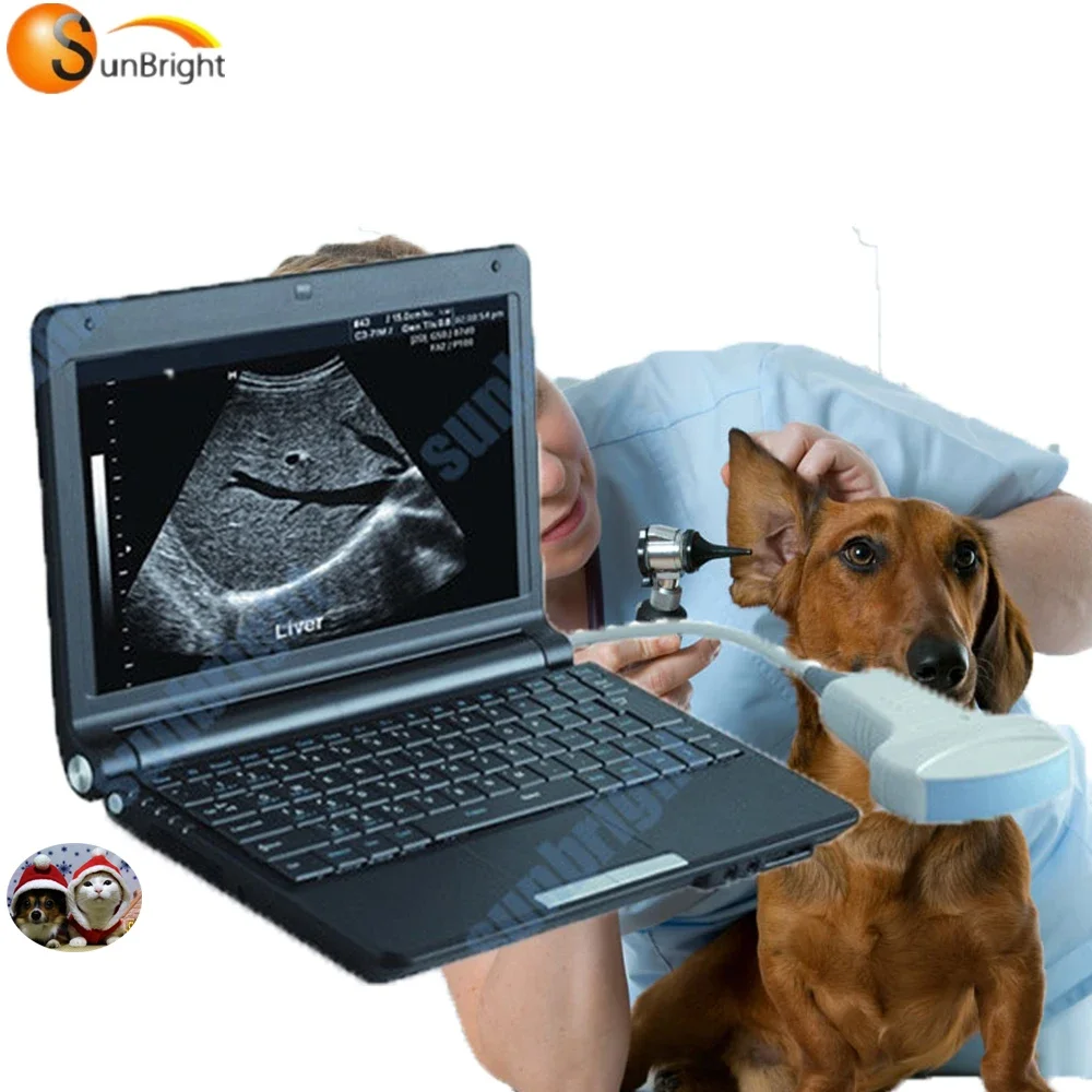 Digital Laptop Veterinary Mini Ultrasound  SUN-806F Price