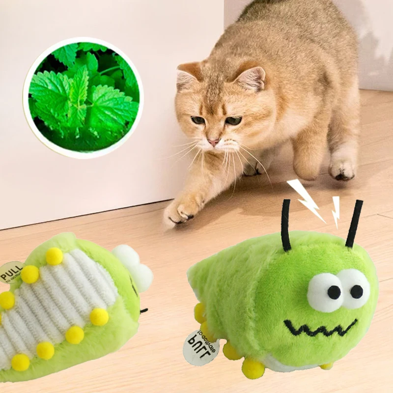 

Cat Interactive Toy Small Green Bug Cat Catnip Cat Toy Sound Cat Toy Indoor Kitten Teeth Grinding Catnip Toys Pet Supplies