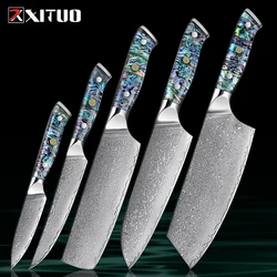 Extremely Sharp Damascus Steel Kitchen Knife Set 1-5Piece Santoku Knife,Utility Knife, Cleaver Knife Acrylic Abalone Handle