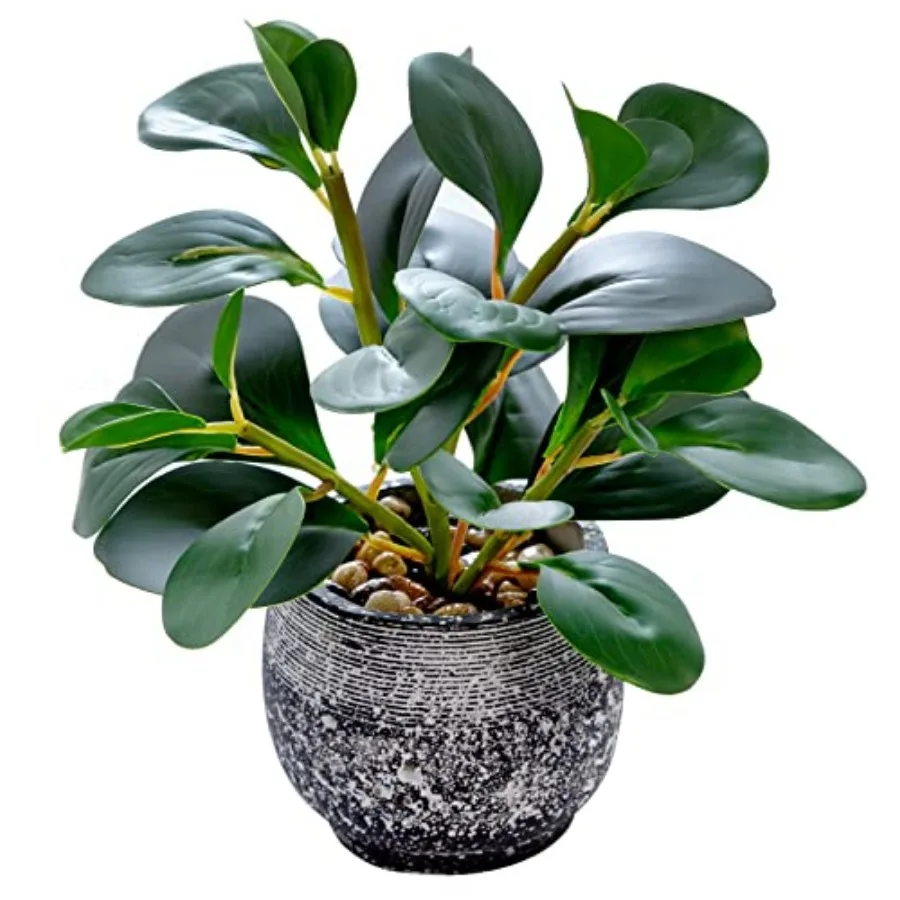 

Artificial s Potted Real Looking Small Faux with Rustic Black Cement er for Kitchen Office Desk Bookshelf Decor