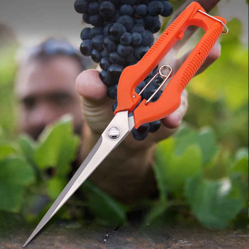 Grape Scissors Pruning Shears Garden Tool Vegetable Patch Bonsai Professional Joinery Stainless Steel Fruit Picking With Lock