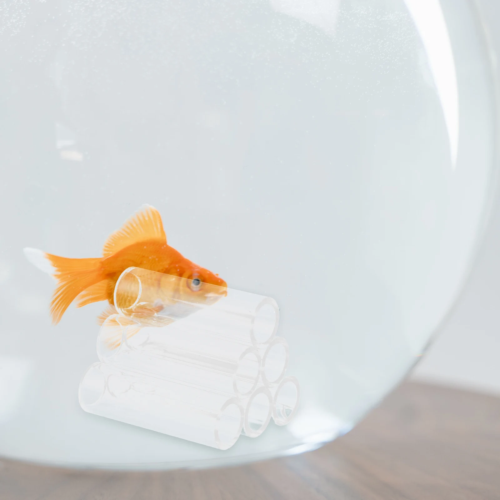 

Acrylic Betta Fish Tube Tunnel 6 Holes Shrimp Shelter Aquarium Breeding Cave Spawning Tube Shrimp Habitat Fish Tank Decorations