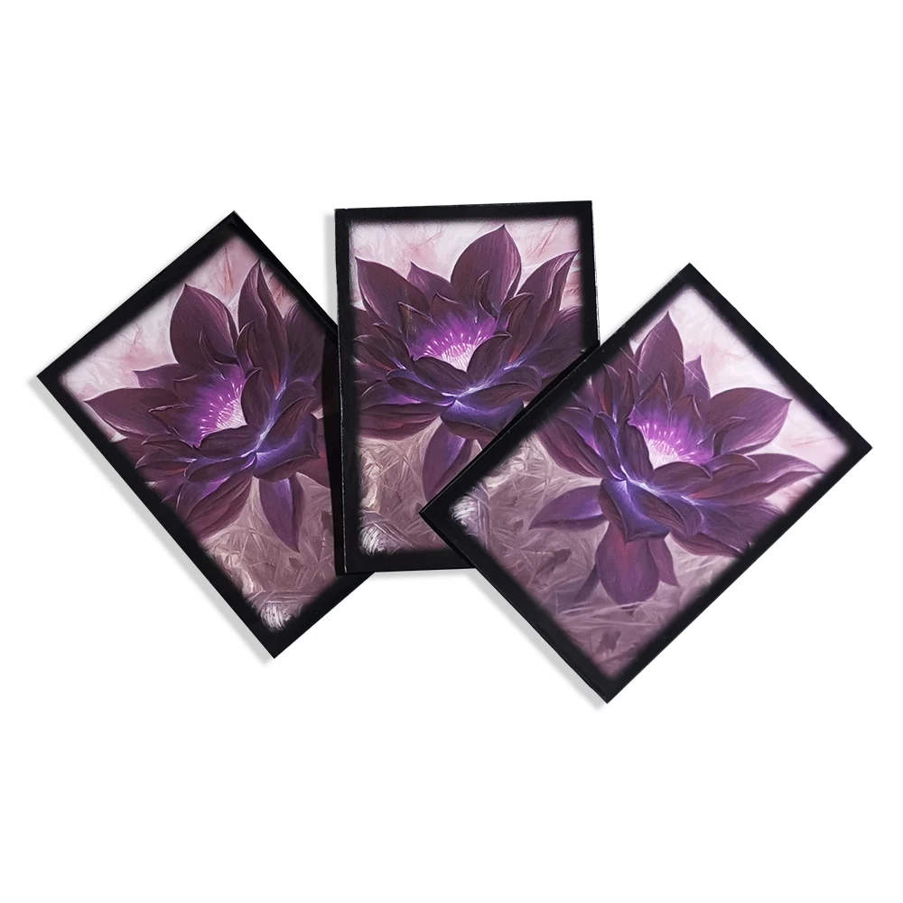 black lotus card sleeves WOTC Sleeve Black Inside 66mm X 92mm Commander/Modern/Legacy/Historic/Standard/Pioneer/Vintage/Casual Compatible with Magic The Gathering Dragon Shield Matte Sleeves (100)
