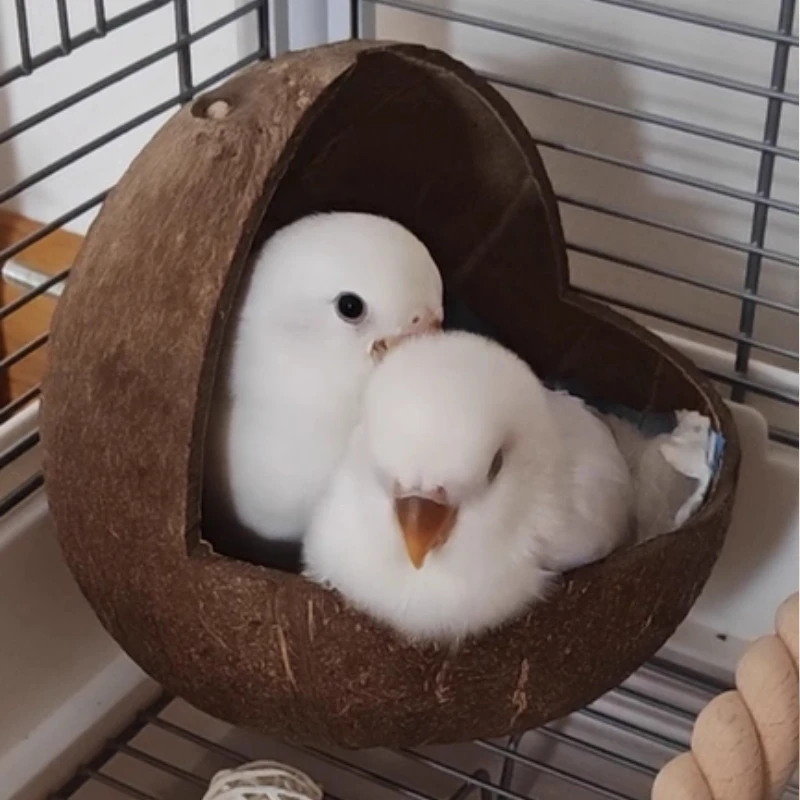 Natural Coconut Shell Parrots Nest House Bed Breeding Nesting Anti-Pecking Bite for Bird Parrot Budgie Parakeet Cockatiel Conure view 4