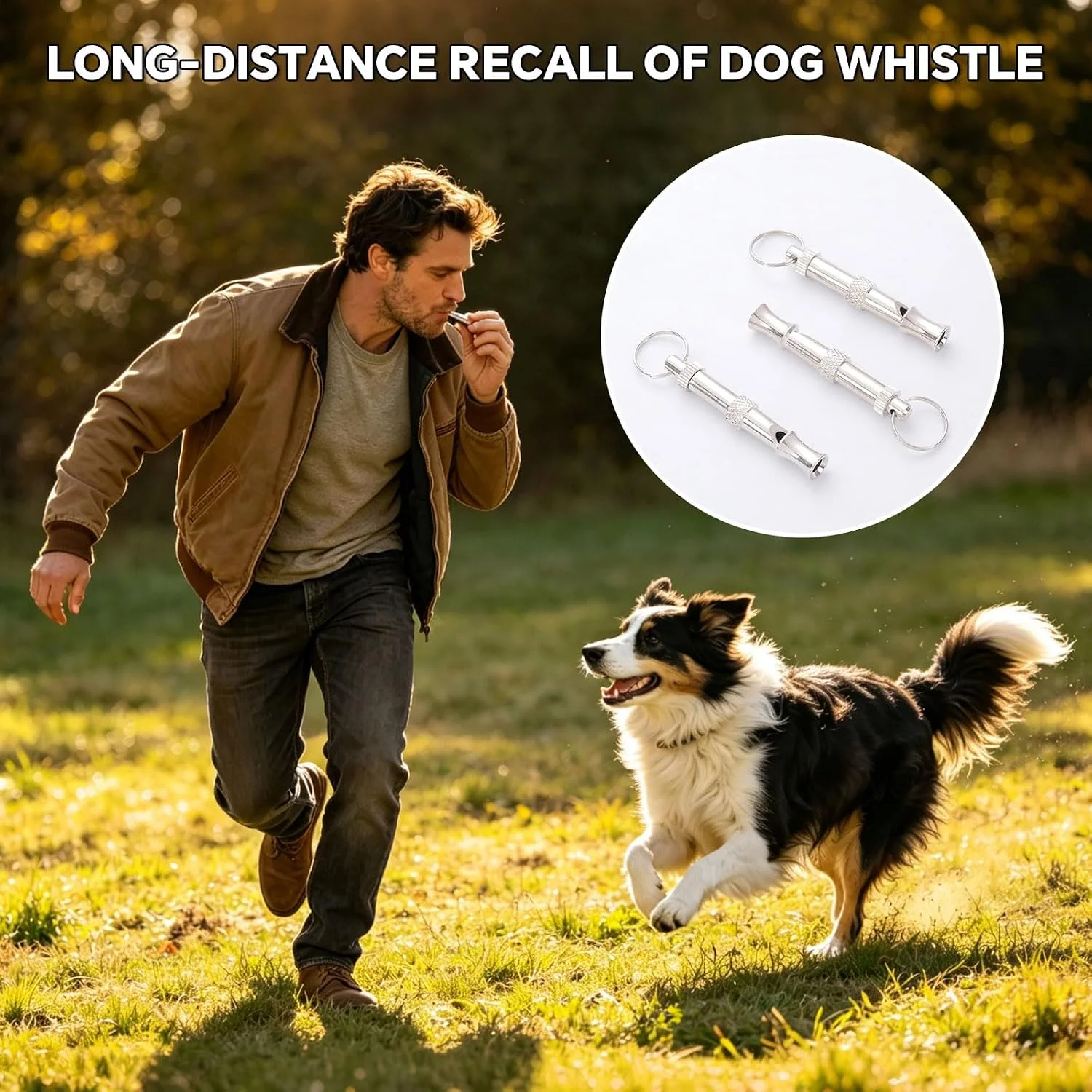 Adjustable Ultrasonic Dog Whistle Metal Obedience Trainer Portable Puppy Command Tool With Key Ring For Behavior Correction