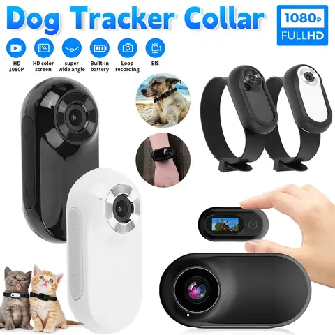 Collar de cámara inalámbrico HD 1080P, No se necesita WiFi, para perro, gato y mascota, Mini cámara corporal, grabaciones de vídeo para gatos y perros, regalo de cumpleaños