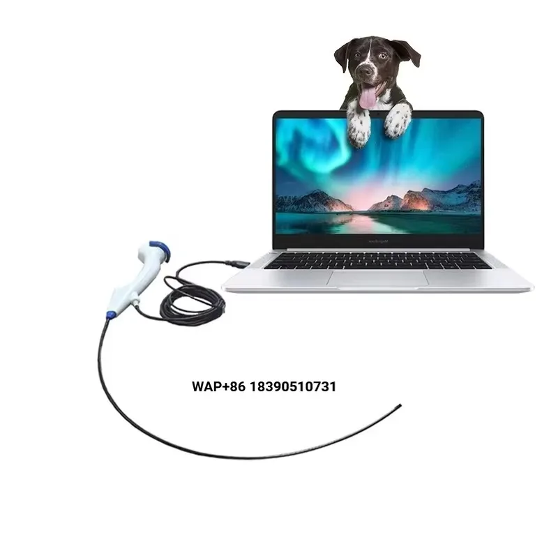 Factory Price Gastroscope Reusable Veterinary Equipment Medical Equipment Colonoscopy Portable Veterinary Endoscope