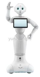 SoftBank Robotics Smart Programmable Humanoid Robots Pepper, Solutions for Events, Festivals Dancing Singing Performance