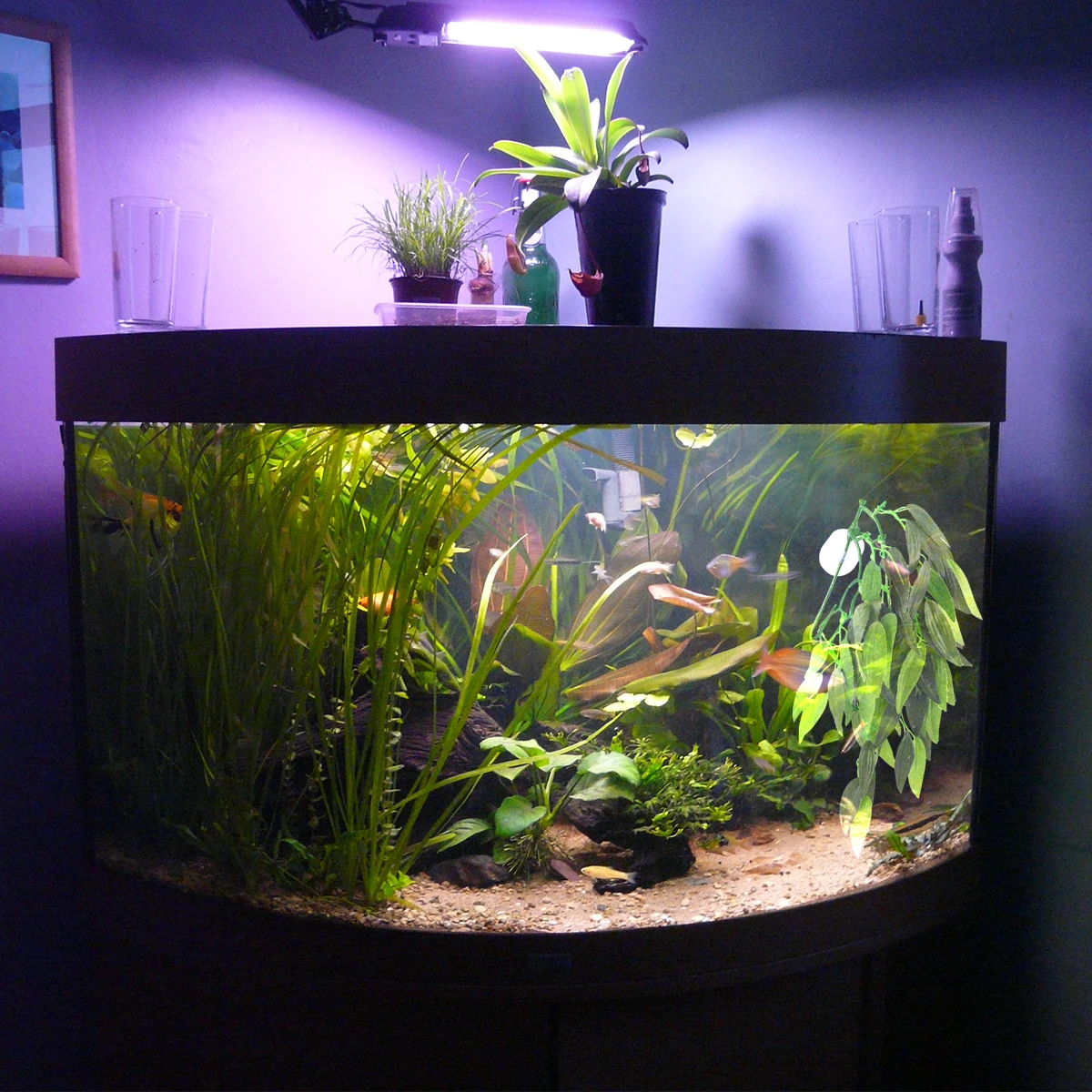 

Artificial Plants RealisticAquarium Decoration for Fish Tank Easy Cleaning Safe Water Habitat Accessories Rattan Decor Pet
