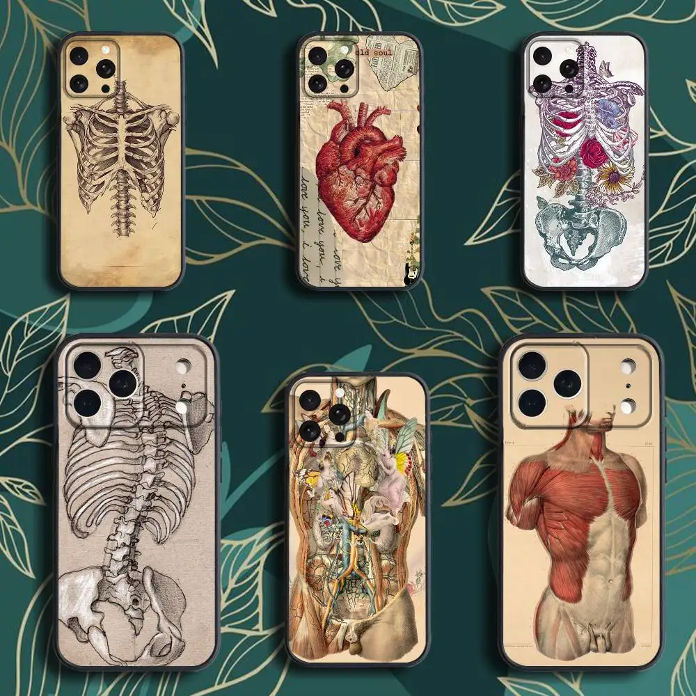 인체 해부학 의료용 아이폰 케이스 (아이폰 17, 16, 15, 14, 13, 12, 프로, 맥스, 플러스, E, SE4, 에어, 미니) 블랙 소프트 박스