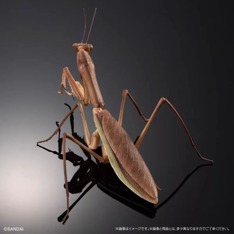 Bandai Original Gashapon Creature Encyclopedia:Dead Leaf Mantis