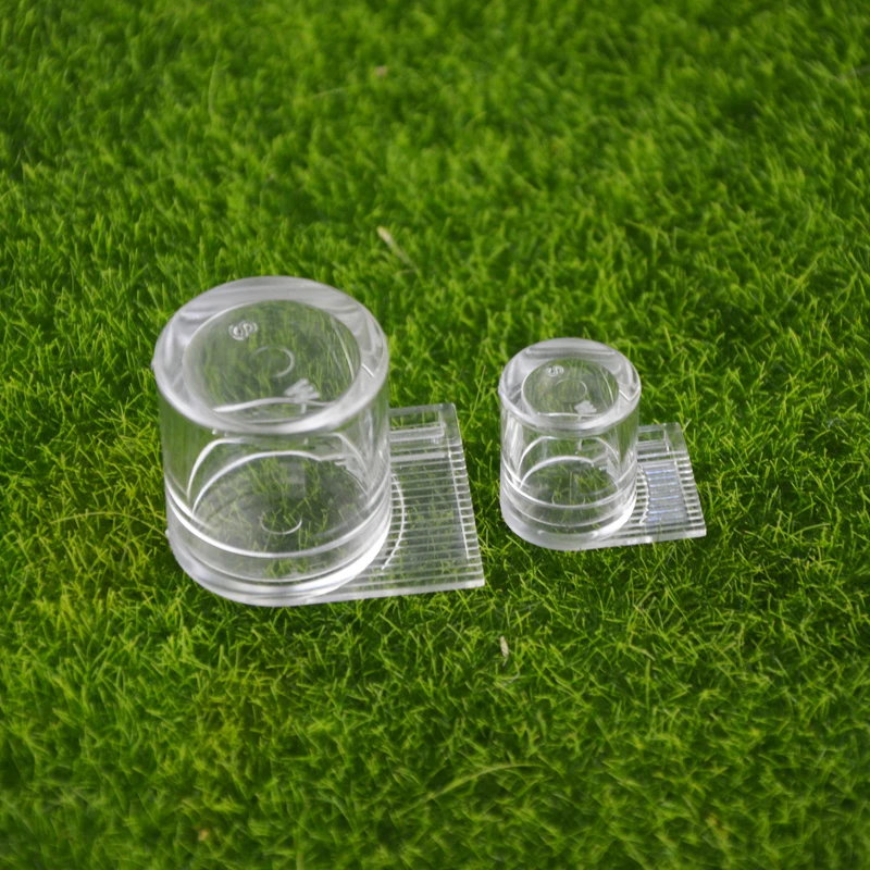 Ant Farm Acryl Or I… - image