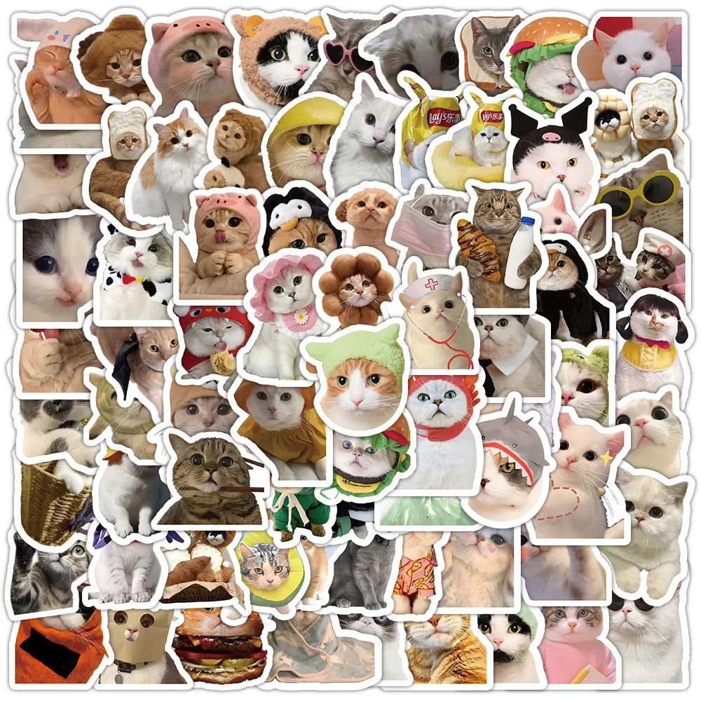 100pc Personality Funny Cat Scrapbook Journal Sticker Cute Real Shot Kitten Guitar Sticker decorazione fai da te Laptop Phone Case Sticker