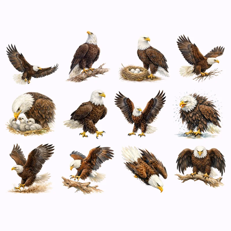 Eagle Spread Wings Flying Heat Transfer Vinyl Stickers Animal Iron On Patches For Men T Shirt Hoodie DIY Clothing Print Stickers view 2