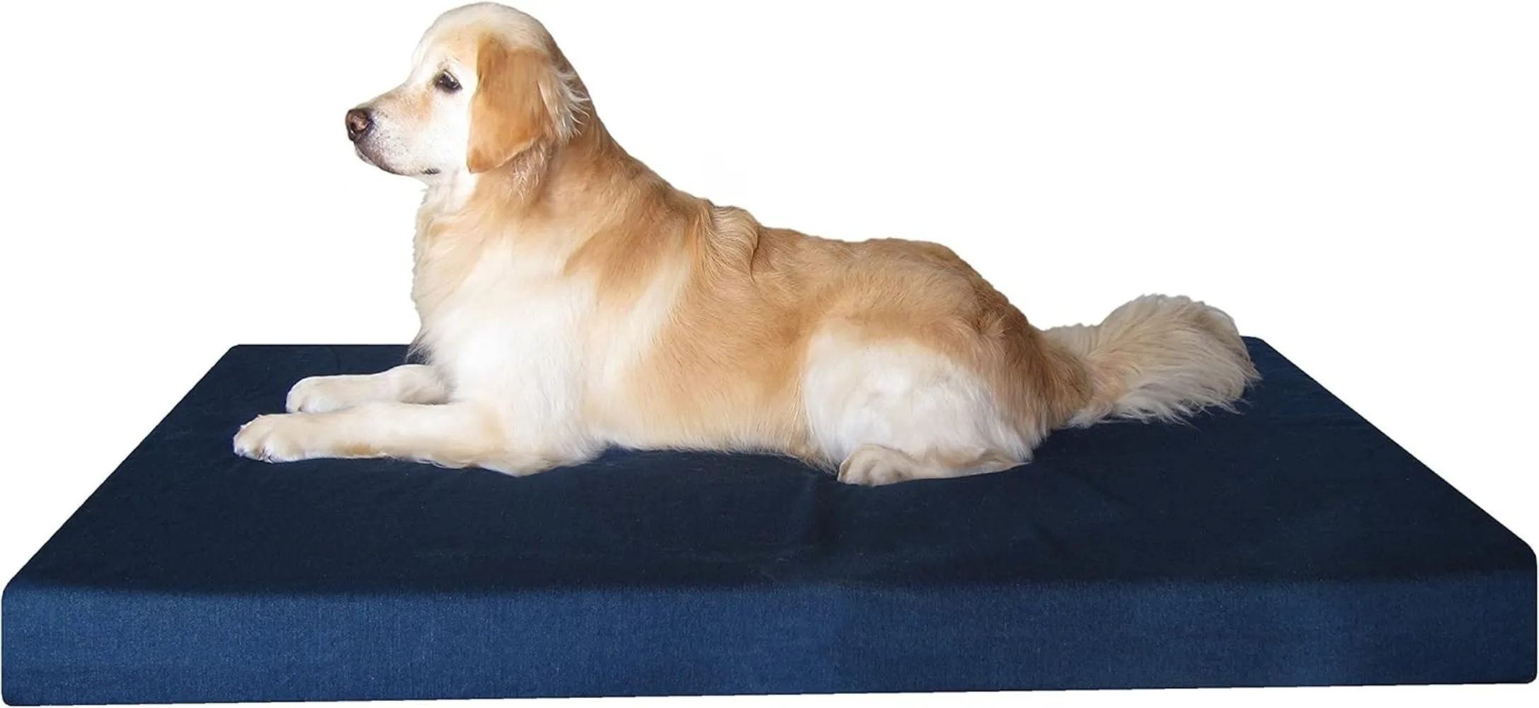 Dogbed4less XXL Orthopedic Memory Foam Dog Bed for Large Dogs, Durable Denim Cover, Waterproof Liner and Extra Pet Bed Cover