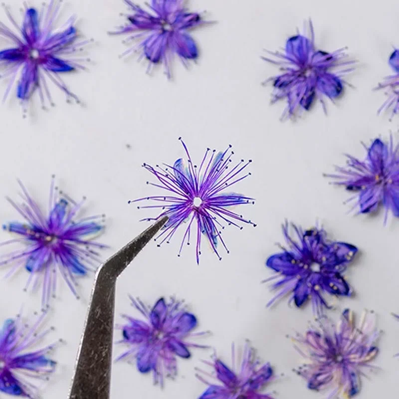 24/36PCS,1.5~2.5CM Natural Dried Mini Pressed Flowers White Sandalwood Heads,Dry Flower Press For Craft Resin Jewellery,Candles