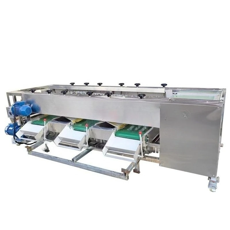 Drum Type Fruit Vegetable Size Sorting Grading Machine Potato Onion  Tomato Citrus Size Classifier Machine