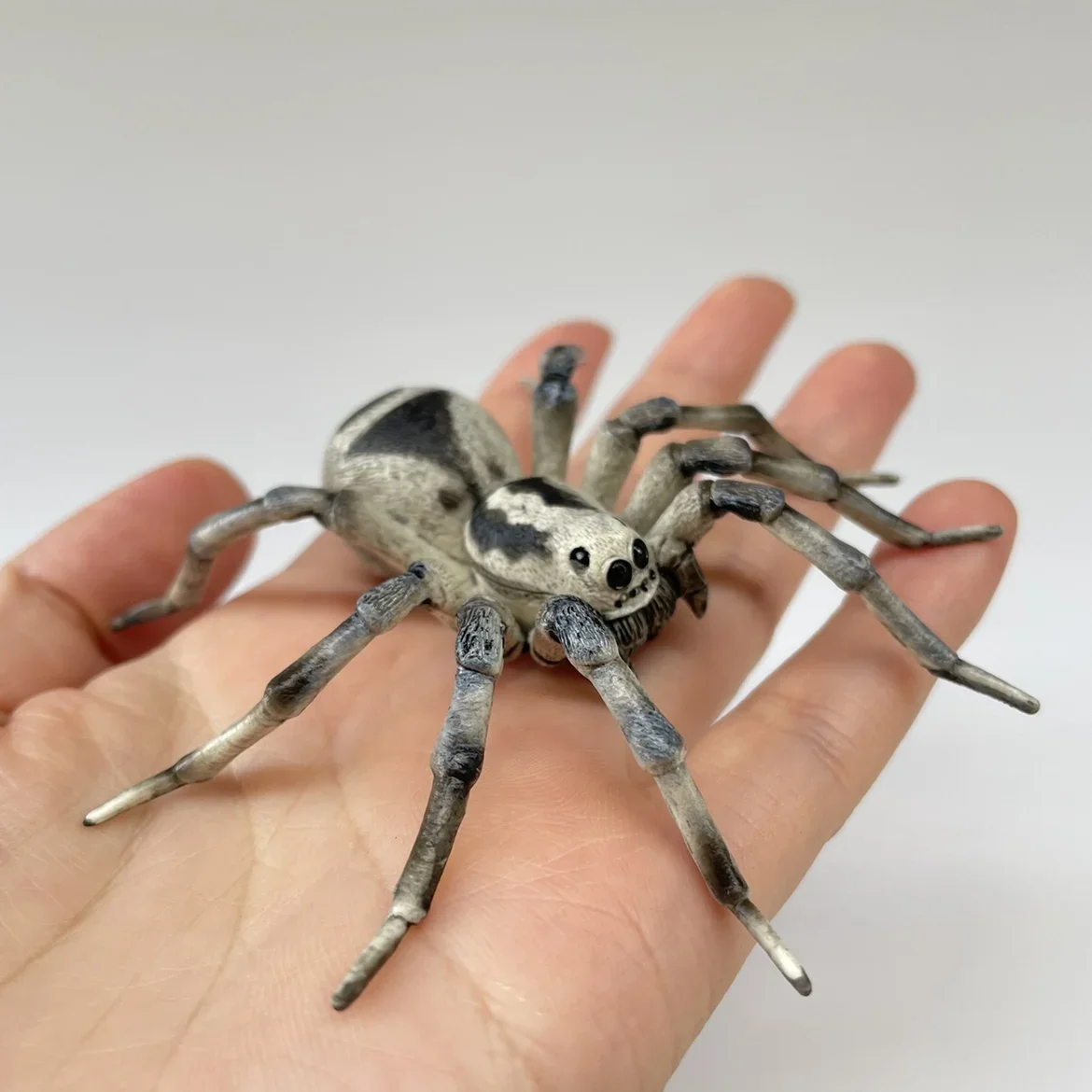 Tarantula pająk symulacja owada Model zwierzęcia kolekcja zabawek Ornament plastikowa zabawka statyczny Model figurka zwierzątko