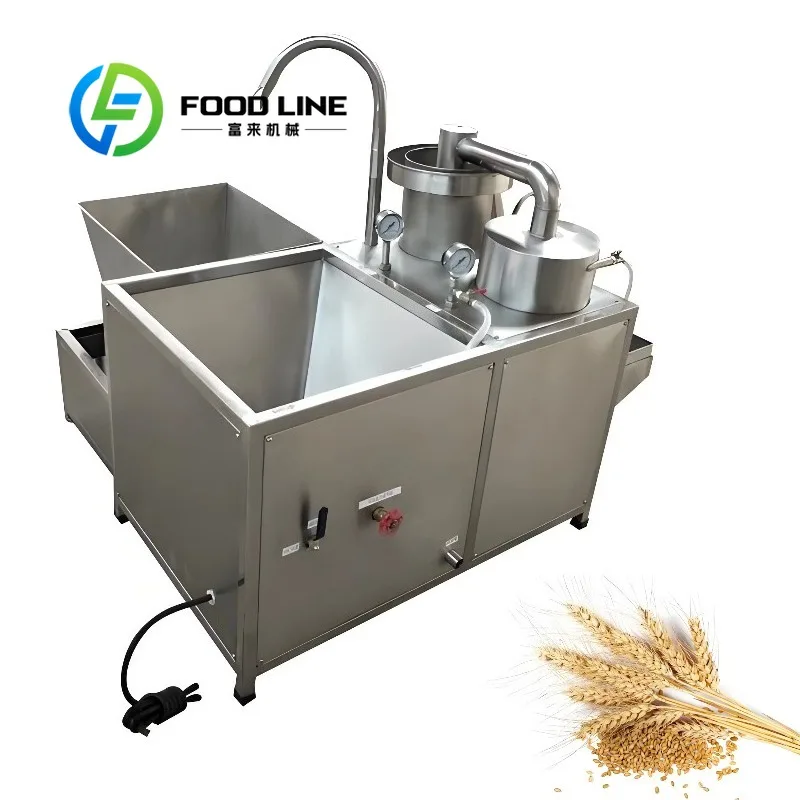 Powerful Automatic Rice Washer Core Component Motor Body Machine Sale for Rice Seeds Washing Machine