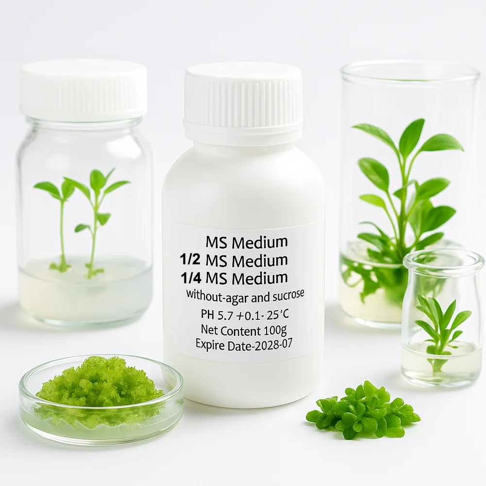 

1/2 MS medium 1/4 MS medium Plant Tissue Culture With Without Sugar Agar 100g 250g One Half MS Medium One Quarter