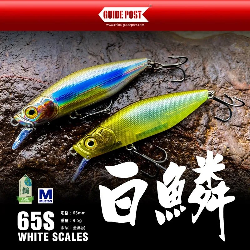 Sinking Minnow Fish… - image