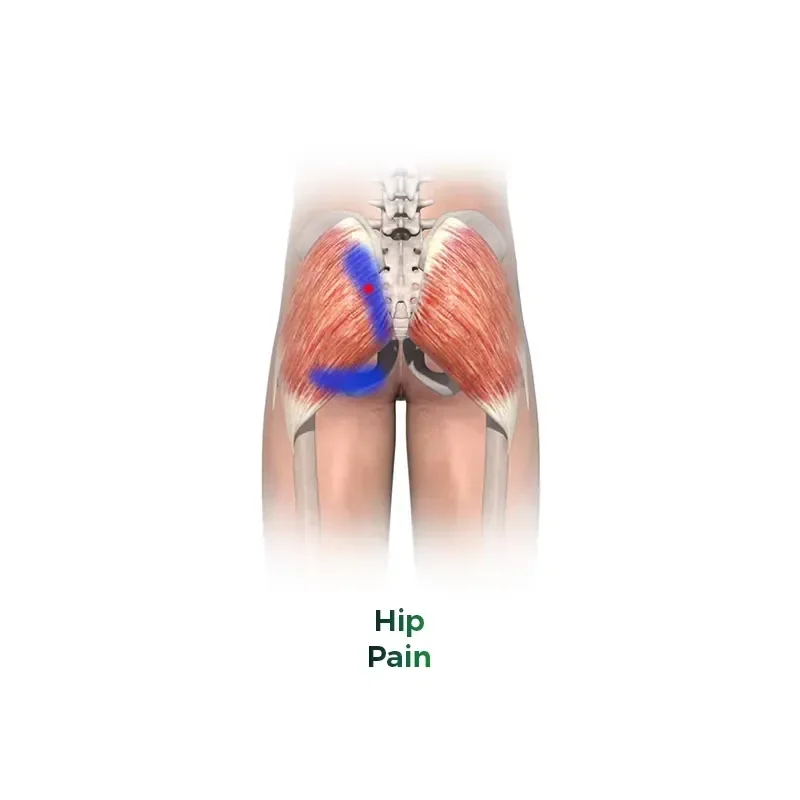 Dual Channel Physical Magnetic Therapy Device for Pain